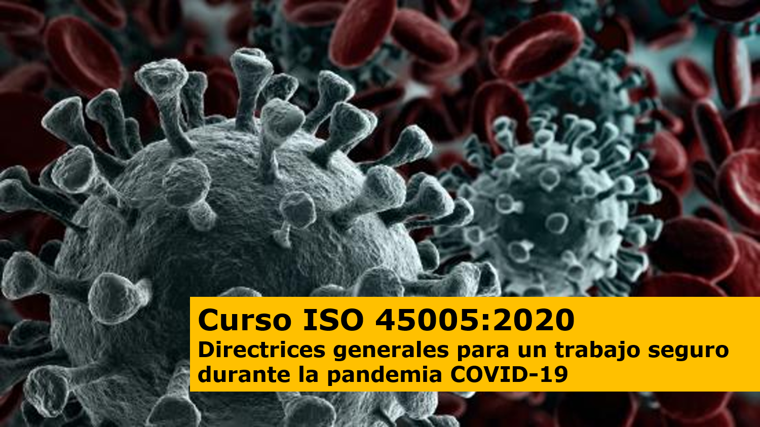formación iso 45005